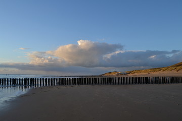 Golfbrekers op het strand van de Westerschelde