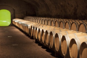 Cantina di Vino e barrique