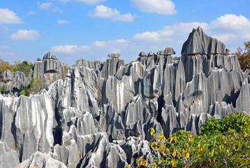 Stone Forest in Kunming City,China