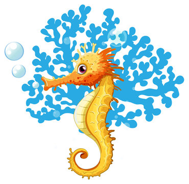 A seahorse underwater
