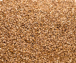 buckwheat
