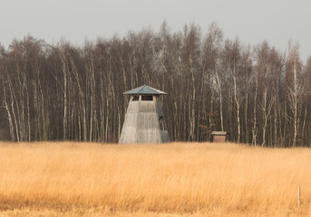 Turm im Moor