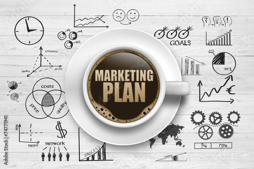 nikon marketing plan nikon marketing plan