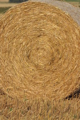 Harvest in the fields. Straw bales collapsed.