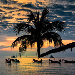 Sunset with palm and longtail boats on tropical beach