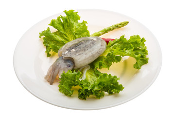 Raw cuttlefish