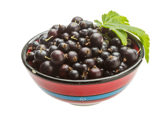 Black currant