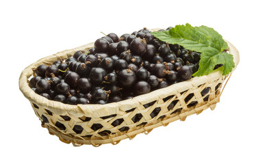 Black currant