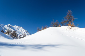 Fototapeta na wymiar Ski slope in the alpine arc