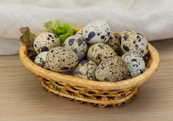 Quail eggs