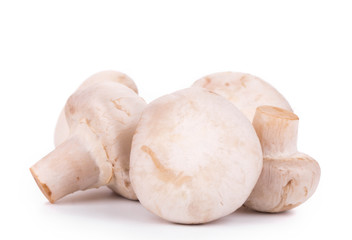 champignon mushrooms.