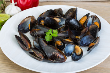 Mussels