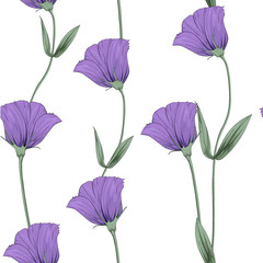 Flower spring violet