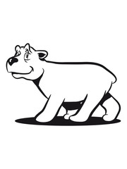 Bear little funny sweet