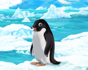 Cartoon scene - arctic animals - penguin © agaes8080