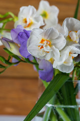 Obraz premium cloese view on spring flowers