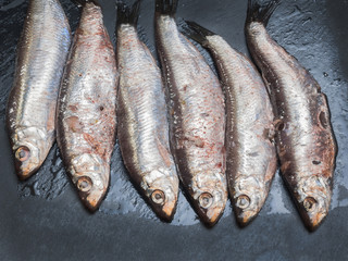 Anchovies sardines ready to eat