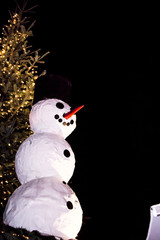Schneemann/Weihnachtsbaum