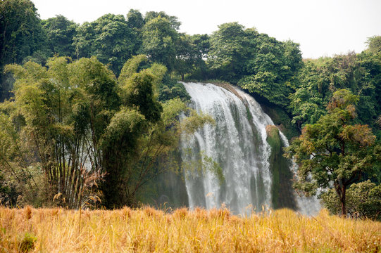 Straw in rice field front of Ban Gioc waterfall in Vietnam.