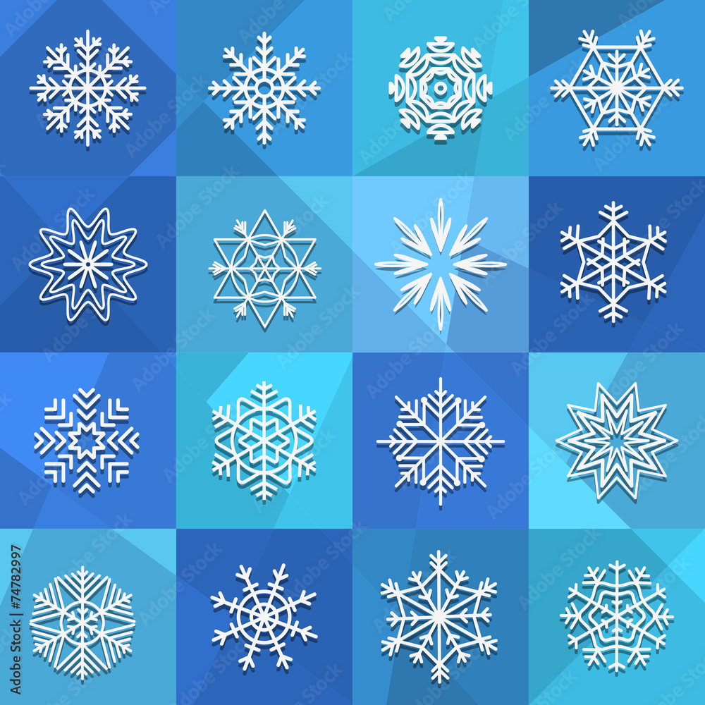 Poster different snowflakes set. design elements