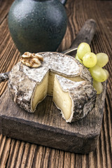 Französischer Schimmelkäse