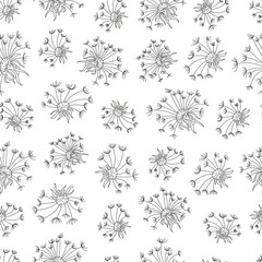 Floral seamless background with flowers of dandelion