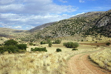 Fototapeta premium Dirt road