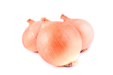 onions isolated on white
