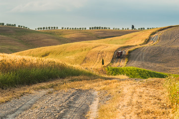 Fototapeta na wymiar Tractor with a trailer on the fields in Tuscany, Italy