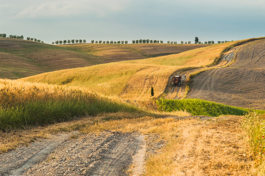 Tractor with a trailer on the fields in Tuscany, Italy