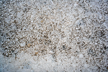Salt on earth