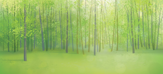 Vector green forest landscape.