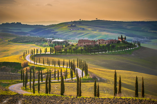 Fototapeta Sunny fields in Tuscany, Italy