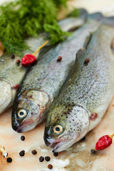 Fresh raw fish trout and spices