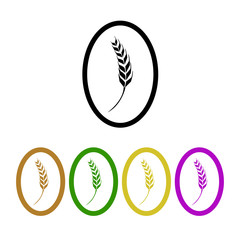 wheat vector icon
