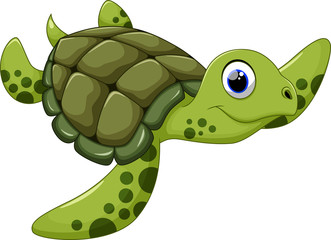 Naklejka premium Cute turtle cartoon