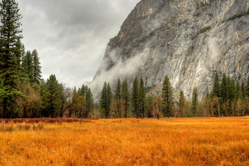 Yosemite Valley - obrazy, fototapety, plakaty