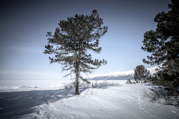 Baikal. Holy Nose Peninsula. Barguzinsky Gulf Coast in the winte