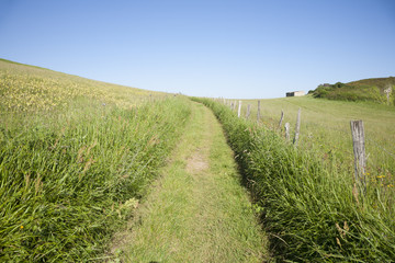 rural path