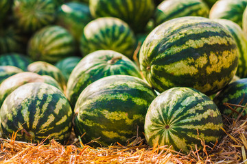 Watermelons