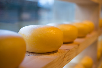 Dutch Gouda Cheese