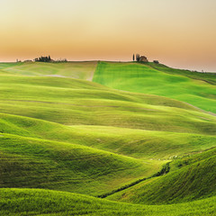 Naklejka premium Sunny fields in Tuscany, Italy