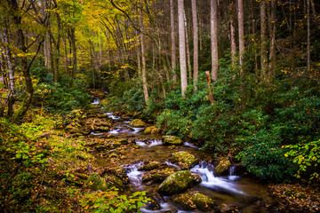 Autumn color and cascades on Stoney Fork, near the Blue Ridge Pa