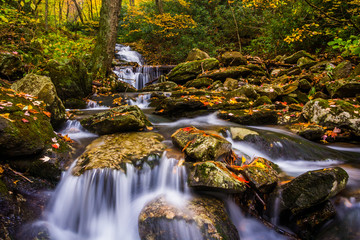 Autumn color and cascades on Stoney Fork, near the Blue Ridge Pa