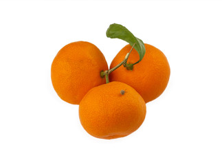 Mandarins with snail