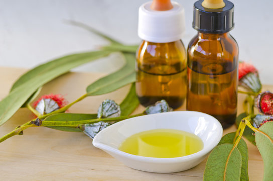 Eucalyptus essential oil.