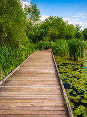 Boardwalk trail along the pond at Patterson Park, Baltimore, Mar