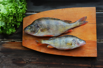 Two perches end to end, with lettuce on wooden background