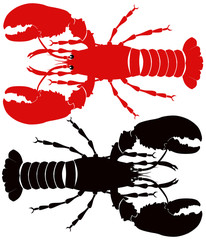 lobster red and back white background