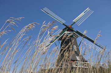 wind mill